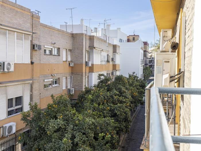 Pureza Dreams De Sevilla Oasis En Triana ภายนอก รูปภาพ